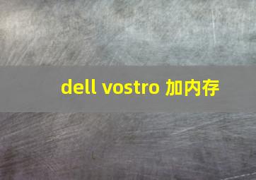 dell vostro 加内存